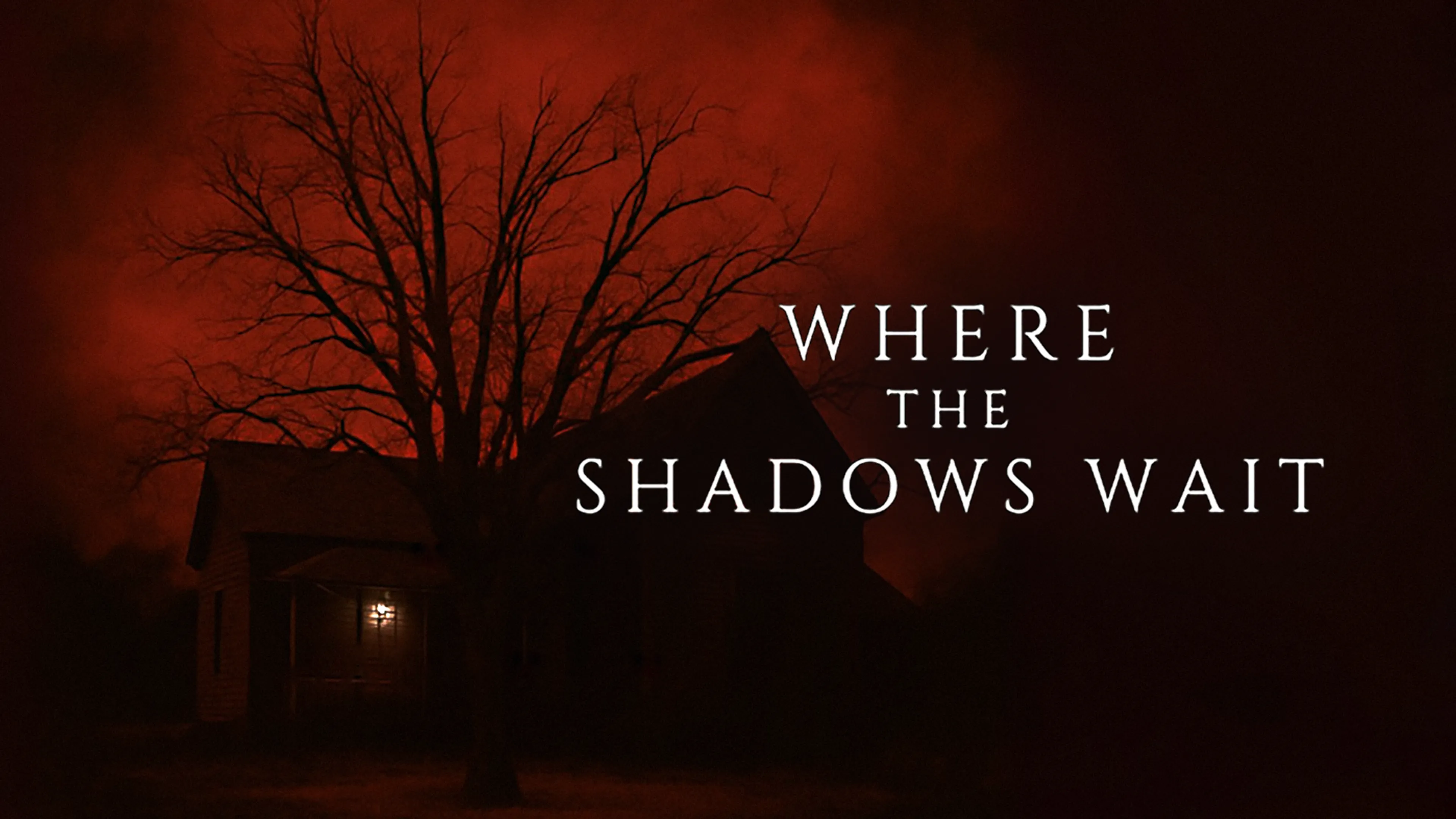 Where the Shadows Wait poster